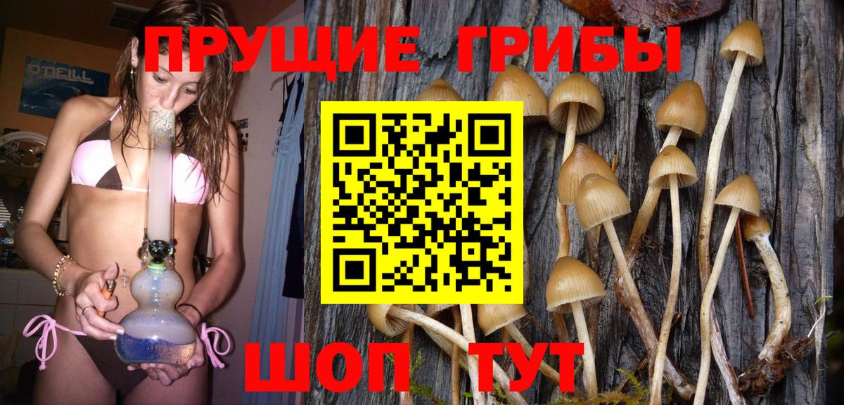 Галлюциногенные грибы Psilocybine cubensis  Псилоцибиновые грибы Psilocybine cubensis  Вход с VPN  Киселёвск 